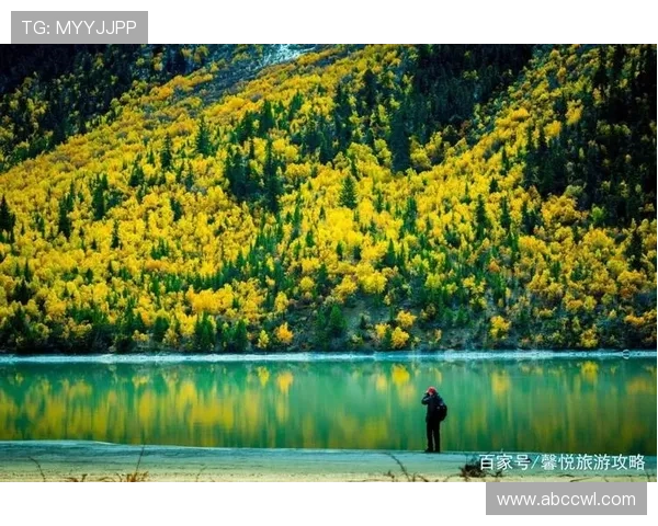 足球明星卡片抽卡盛宴开启让你与偶像近距离接触的机会不容错过 足球明星卡片抽卡盛宴开启让你与偶像近距离接触的机会不容错过